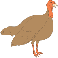 Turkey