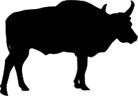 ox silhouette
