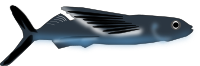 flying fish