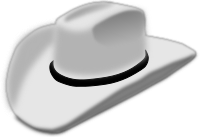 cowboy hat