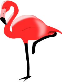 Pink Flamingo