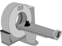 CAT Scan