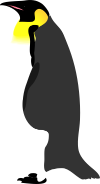 Architetto -- pinguino 2