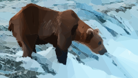 Grizzly in a River