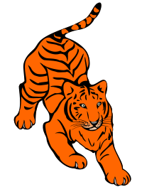 Orange Tiger