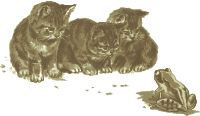 Kittens and a Toad - Remix