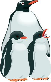 Architetto -- pinguino 3