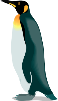 Architetto -- pinguino 4