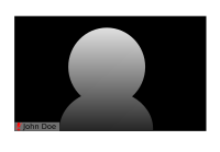 Remote Meeting Window(Muted)