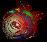 RosebyAnotherColor