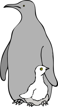 Pinguino col piccolo