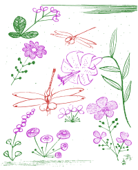 Dragonflies and Flowers - Basic Colour Remix