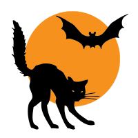 Bat and a Cat