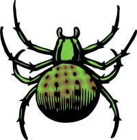 Creepy Green Spider