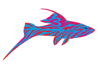 Exotic fish
