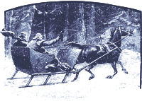 Winter Sleigh