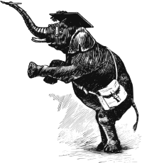Smart Elephant