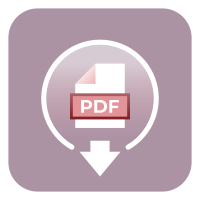 Download as PDF icon