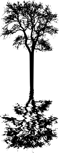 Tree reflection