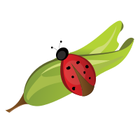 Ladybug