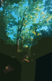 Abstract Tree Nature Place
