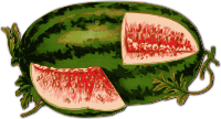 Sliced Open Watermelon
