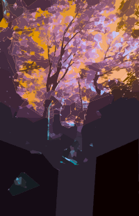 Magic Forest