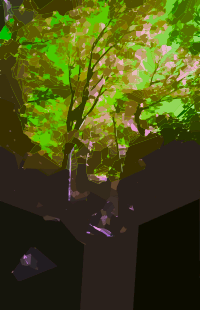 Mystical Forest