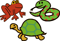 Animales 2