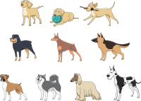 Dogs