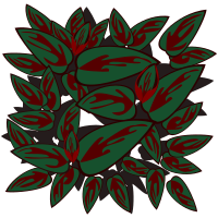 Leafs