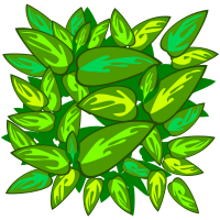 Leafs