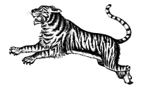 Jumping Tiger