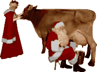 Mrs and Mr Claus with a Cow