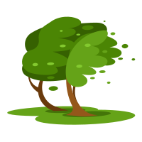 Wind in trees