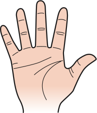 Palm of hand