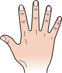 Back of hand