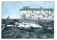 Swimming in the Sea