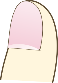Fingernail