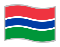 Flag of the Gambia
