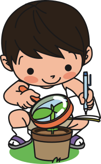 Boy studying plant