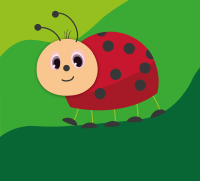 Ladybug