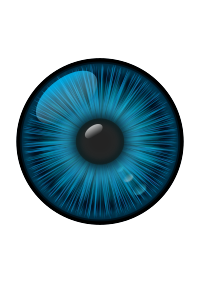 Eye