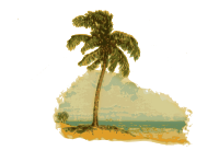 Tropical Palm Tree Beach