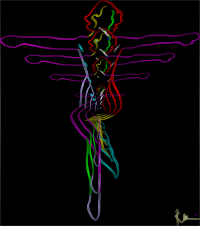 RainbowDancer