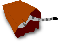 Cat in a Bag