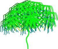 green tree