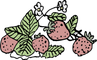 Drawn Strawberries