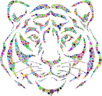 Year Of The Tiger Circles Colorful