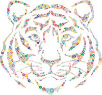 Year Of The Tiger Circles Prismatic